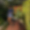 Persia Monir (02.08.2012) thumbnail