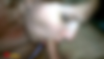 Zombirella.mp4
