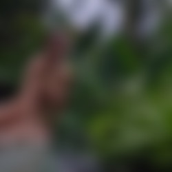 hegre.20.06.02.natalia.a.shooting.naked.in.bali.mp4