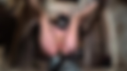 20191226GreyhoundBarnTortureElectric.mp4