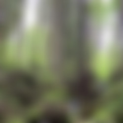 [ManyVids-irisxjase] Public Piss Drinking Slut Deepthroats and Fucks Throatpie (2025-07-12) [1920p].mp4