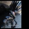 Princess Fatale Mini Pack .2.01 (6 Vids) thumbnail