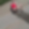Pissbank.com thumbnail