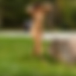 Nude-In-Public Videos/Videos/maricN017603.mp4