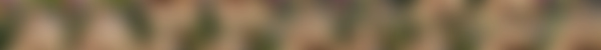 ShowyBeauty.com 2018-10-09 Dominika - First Impression.mp4 screencaps